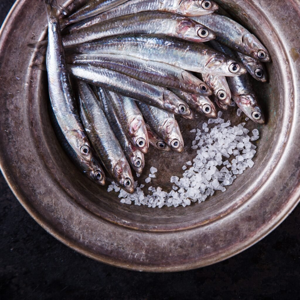 1 1 fresh anchovies and salt on a metal plate 2026 03 09 04 59 08 utc