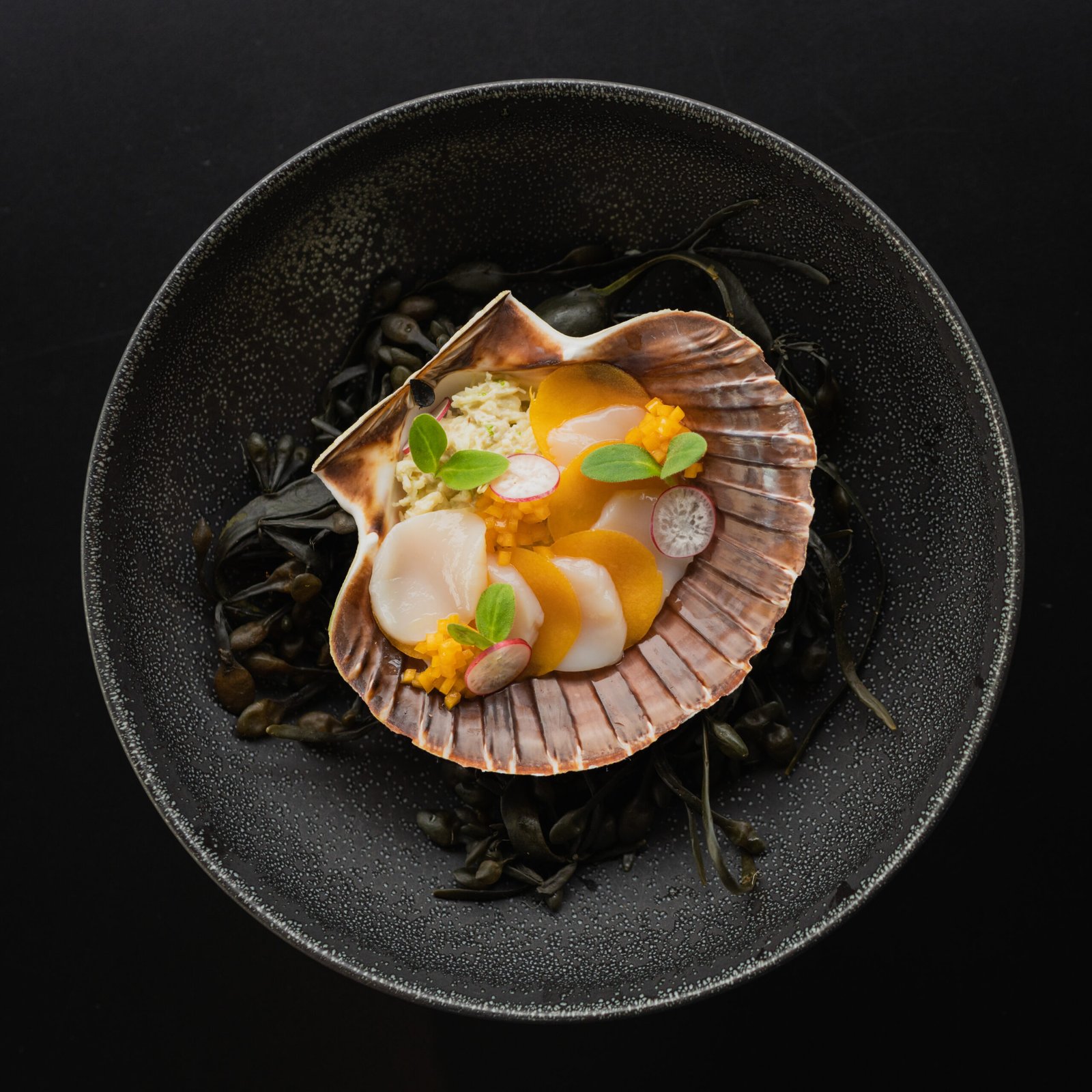 a top view of delicious coquille saint jacques in 2026 03 26 10 17 00 utc